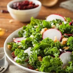 healthy-raw-kale-and-cranberry-salad-P95KKRA.jpg healthy-raw-kale-and-cranberry-salad-P95KKRA.jpg